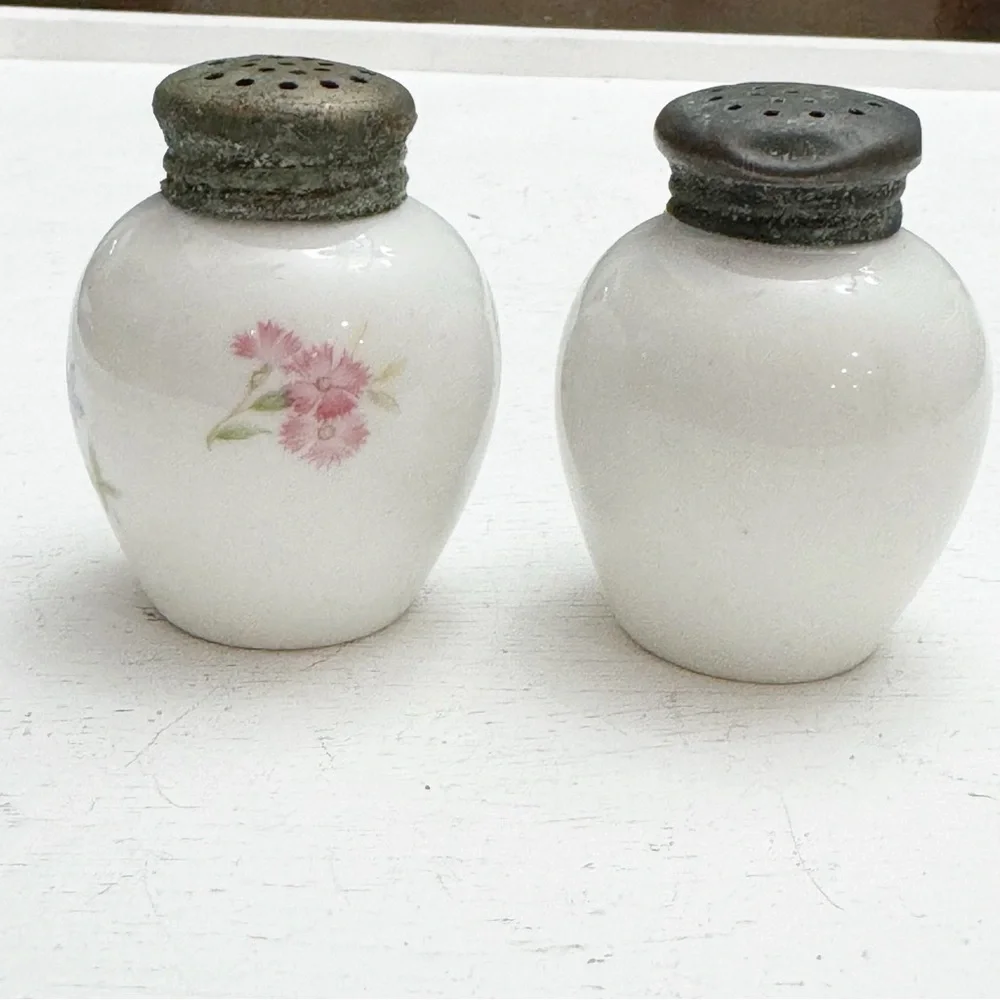 Berlin Thomas of Germany 892 Vintage Salt & Pepper Shakers Hand Painted - Picture 6 of 12